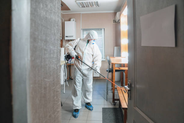 Best Asbestos and Lead Testing During Mold Inspection  in Silver Lakes, CA